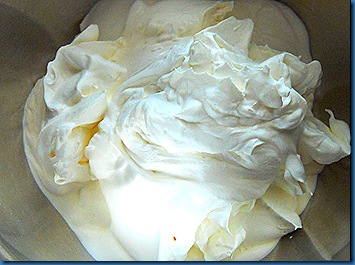 DSCN0873 DSCN0873