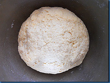 DSCN2496 DSCN2496