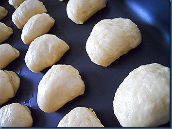 DSCN2622 DSCN2622