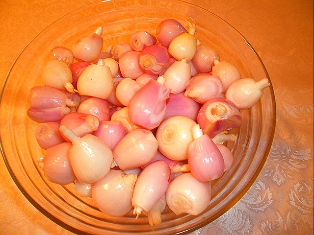 [stifado_00216.jpg]