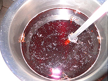 DSCN4462 DSCN4462