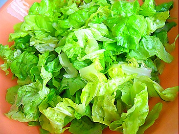 DSCN4537 DSCN4537