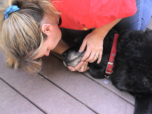 ...and give 2 breaths into his snout (just enough to make his chest rise) keeping his mouth closed with your hands.