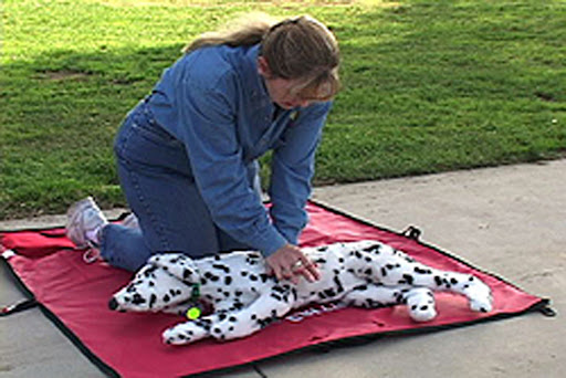 If there are two people, one breathes and the others compresses at the rate of one breath for every 2-3 compressions.