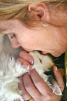 See above for positioning to give breaths to a cat. See above for positioning to give breaths to a cat.