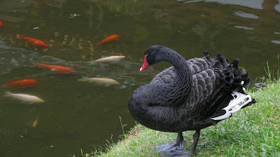 IMG_0721.JPG