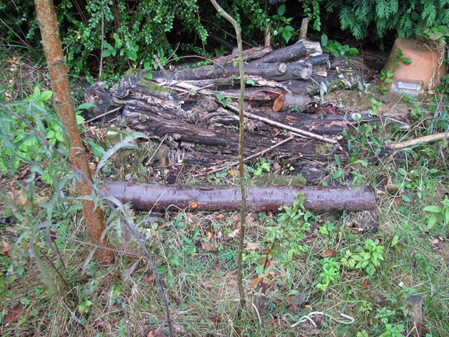 [20090915 Metre 004[3].jpg]