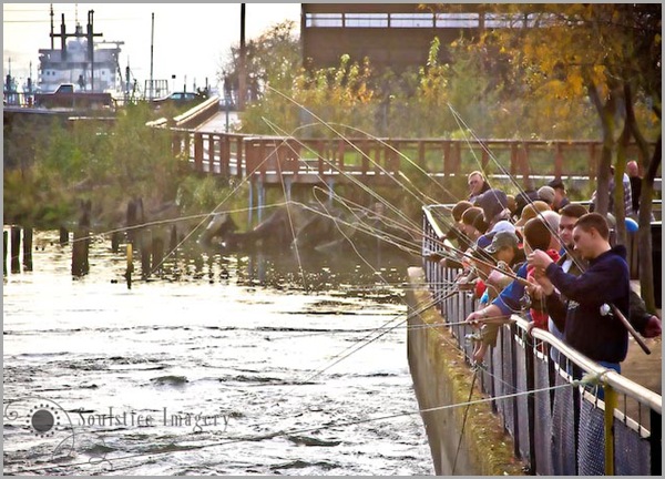 Autumn Tradition-2 copy Autumn Tradition-2 copy
