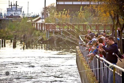 [Autumn Tradition-2 copy[3].jpg]