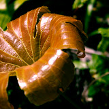 _MG_5764.jpg