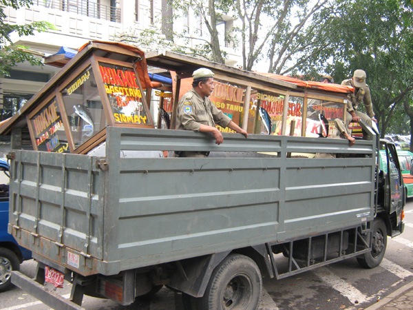[resizedtiga5.jpg]