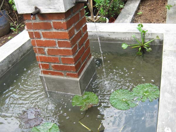 [sikolam3.jpg]