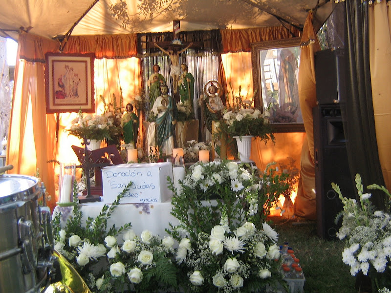 imagen 4