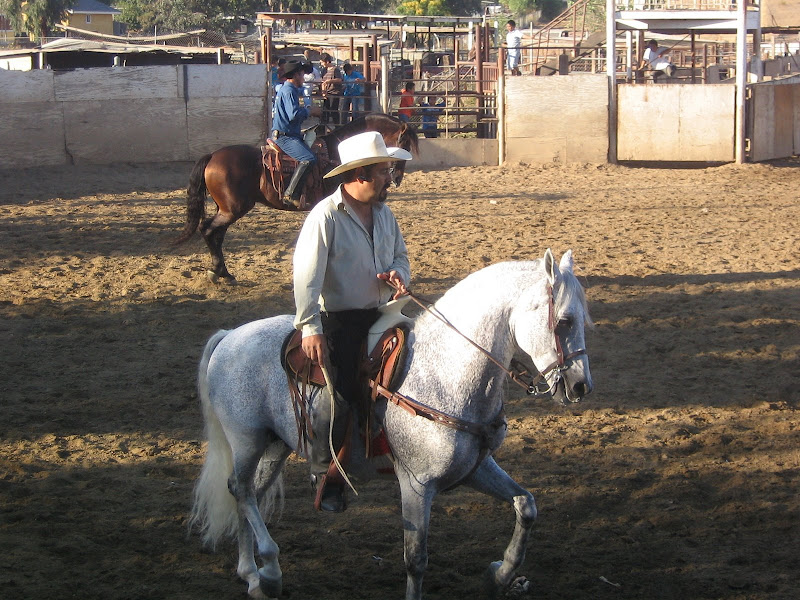 imagen 10
