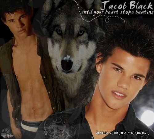Wolf Pack New Moon Wallpaper. Wolves shirtless new moon