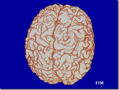 Mozart cerebro