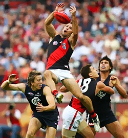 [Not Cricket[3].jpg]