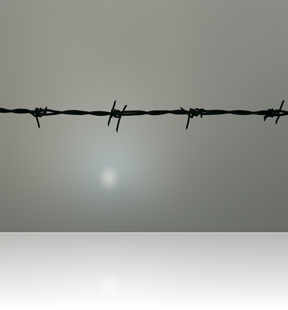 bw_barbed_wire_and_sun