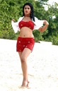 WWW.OKGOT.COM