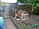 Our productive garden 10072009%28001%29