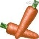 carrot