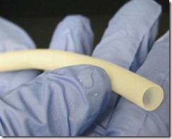 Vena Humana de 6 mm, creada por bioingenieria, antes de su implante Vena Humana creada por bioingenieria de 6 mm antes del implante