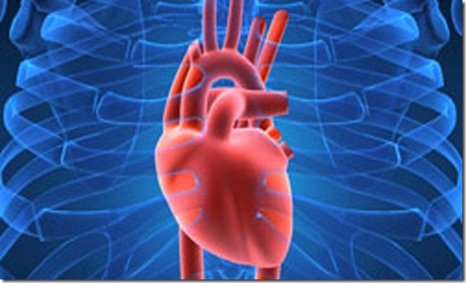 corazon-cuerpo corazon-cuerpo