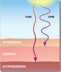 uvb uvb