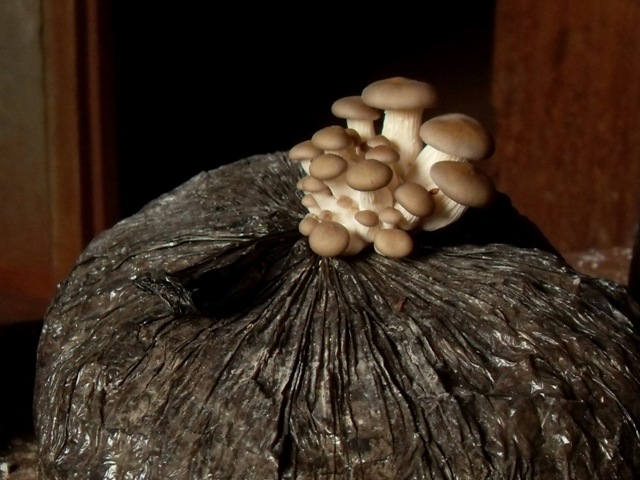 [SDC109857.jpg]
