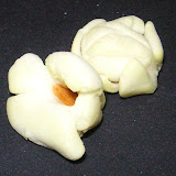 PICT8112.JPG
