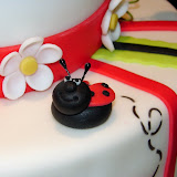 Lady Bug Cake 2-20-10 035.jpg