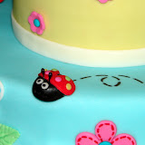 Sloan's Garden Party Cake 3-6-10 005.jpg