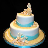 Turquoise Seashell Cake 3-7-10 039.jpg