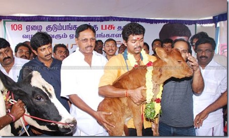 cow-donation-camp-vijay-photos-stills-images-gallery-9