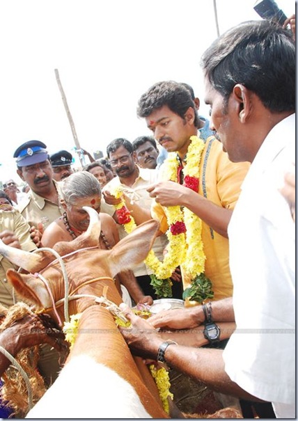 cow-donation-camp-vijay-photos-stills-images-gallery-3