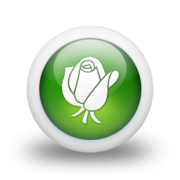 rode rozen sturen