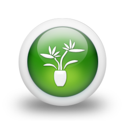 bloemen en planetn