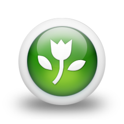 tulpen sturen - bestellen