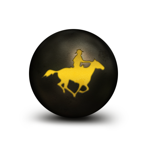 paardensport, sport en fitness