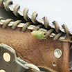 DSC04184.JPG