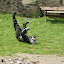 DSC01061.JPG
