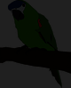 [thumb_parrot_large[2].png]