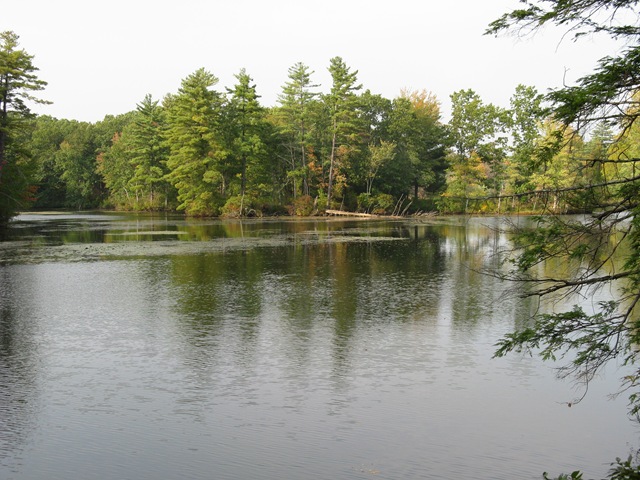 [IMG_29453.jpg]