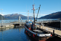 DSC_0808.jpg