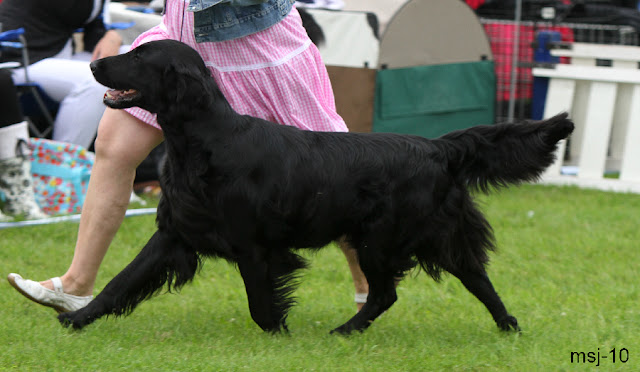 black-micas-not-your-buisne.jpg
