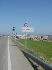 DSC06766