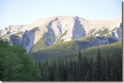 View1