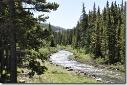 creek1