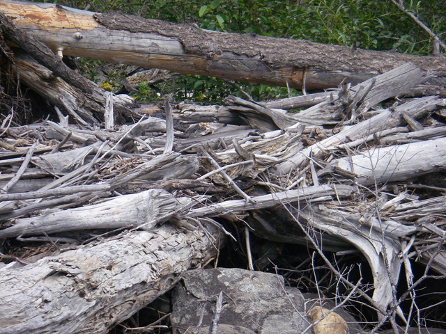 [IMGP02513.jpg]