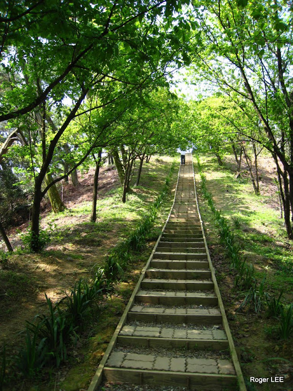 圖檔